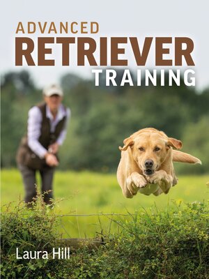 cover image of Advanced Retriever Training